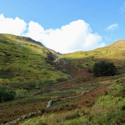 Dry Stone Wall, Heather and Bog.