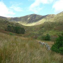 The Cork of the Pennant Valley