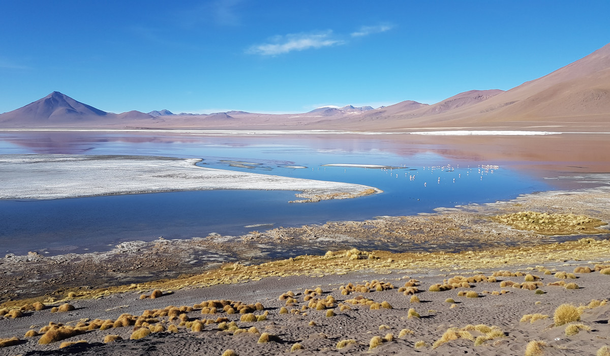 Laguna Colorada