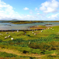 Moorcroft campsite view