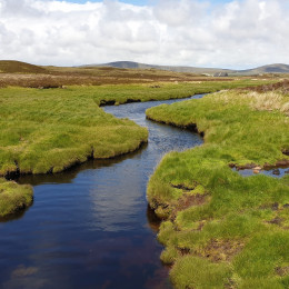 Salt Marshes, North Uist